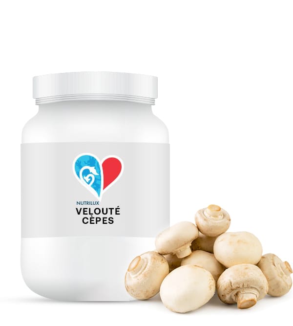 veloute-Cépes