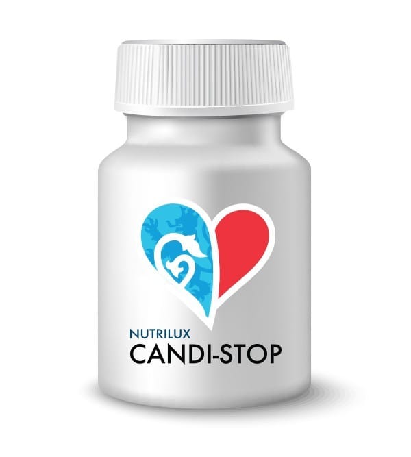 candi-stop-2