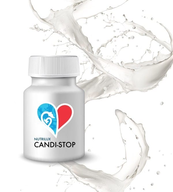 candi-stop