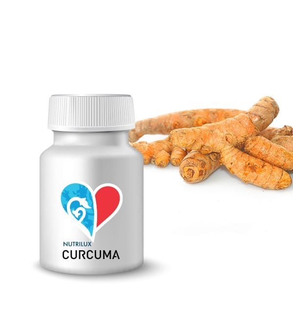 curcuma