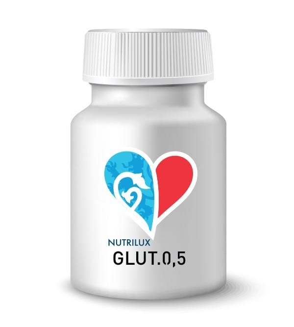 glut05-2