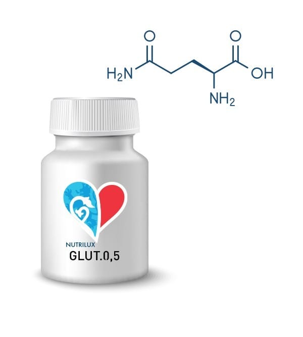 glut05