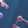 TYROSINE Nutrilux Santé, stratégie neuro-nutritionnelle de pointe, à associer avec NUTRILUX PROLACTO+, NUTRILUX POBIO LG ou NUTRILUX ACTIFLORE +, compléments alimentaires biodisponibles.