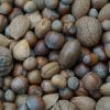 Vitamine B1 : un cofacteur vital dans NUTRILUX VIT&MIN et NUTRILUX BASIC, à associer à des probiotiques spécifiques NUTRILUX : NUTRILUX PROLACTO+, NUTRILUX ACTIFLORE, NUTRILUX POBIO LG, NUTRILUX CANDI STOP, à haute biodisponibilité.