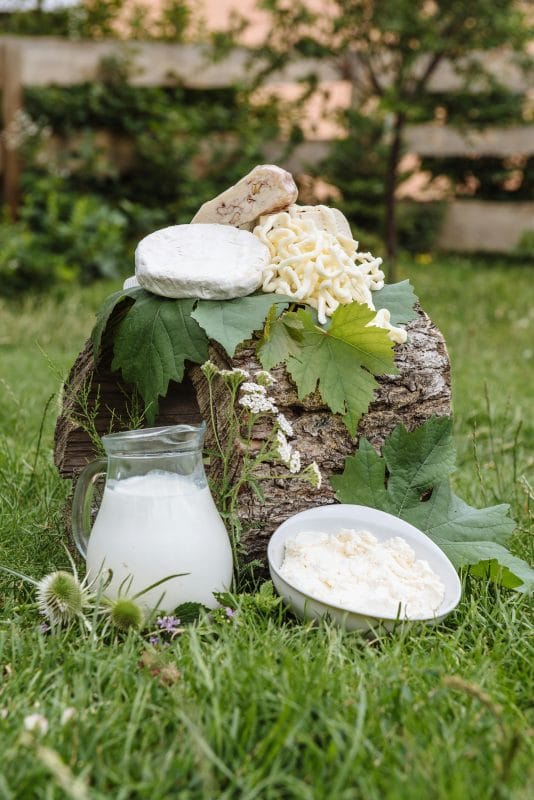 Vitamine B2 : un cofacteur métabolique essentiel dans NUTRILUX VIT&MIN, à associer à des probiotiques NUTRILUX : NUTRILUX PROLACTO+, NUTRILUX ACTIFLORE, NUTRILUX POBIO LG, NUTRILUX CANDI STOP,NUTRILUX PROBIO JUNIOR, à haute biodisponibilité.