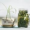 Enzymes digestives graisses : l’allié scientifique de la diète cétogène : les compléments NUTRILUX Santé, tels que NUTRILUX PROLACTO+, NUTRILUX PROBIO LG, NUTRILUX FAT STOP, NUTRILUX MAGNESIUM, NUTRILUX SLIM et la gamme de protéines NUTRILUX Santé, produits hautement bio disponibles.