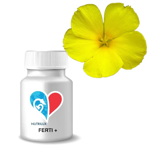 NUTRILUX Ferti + NUTRILUX Ferti +, un complément alimentaire à base de plantes conçu pour soutenir la libido et la santé reproductive. Il associe Tribulus, Damiana, noix de