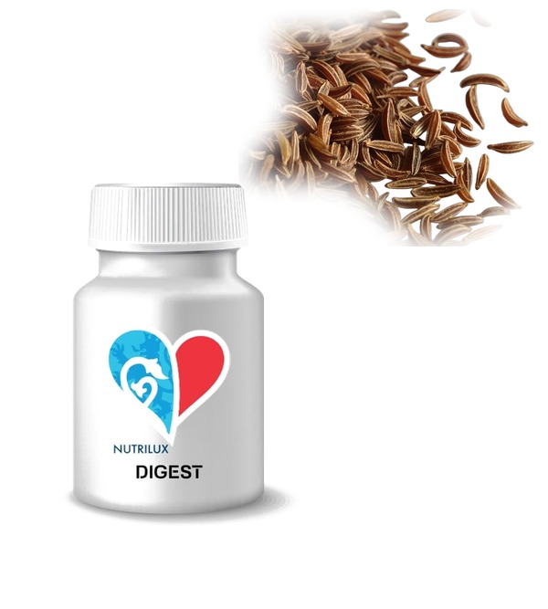 NUTRILUX DIGEST NUTRILUX DIGEST, complément alimentaire à base de graines de carvi, charbon végétal et alpha-galactosidase pour favoriser le confort digestif et réduire les